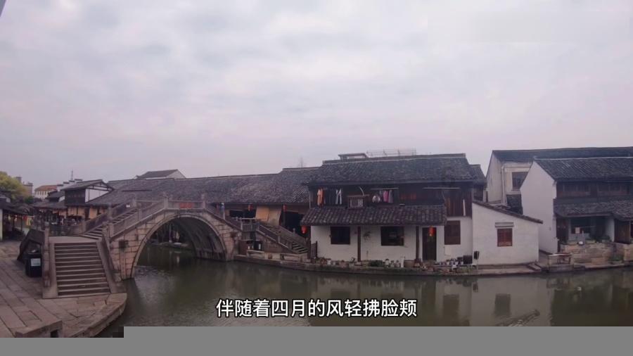 植物大战僵尸12